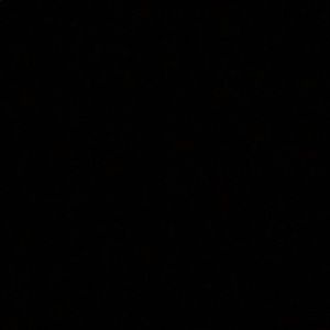 Meet your Posher, Roz